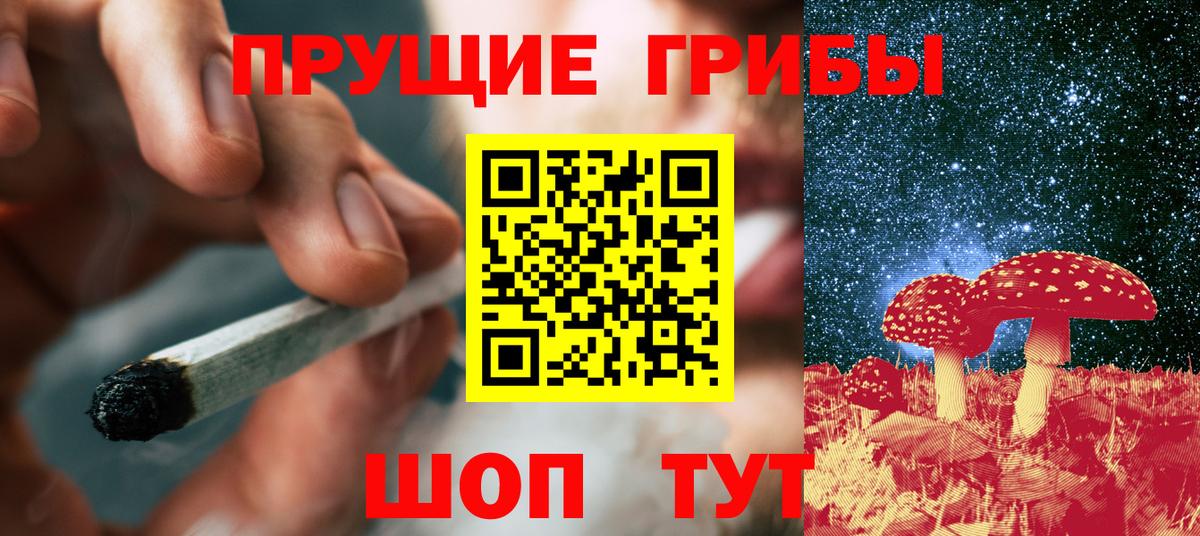 Галлюциногенные грибы Psilocybine cubensis  Вход с VPN  Моршанск 