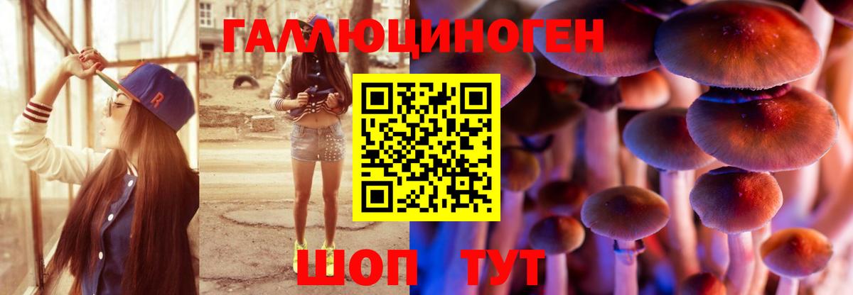 Псилоцибиновые грибы Cubensis Моршанск